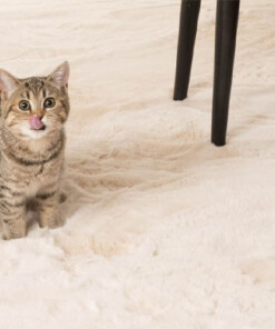Dywan puszysty - Comfy plus kremowy Dywan puszysty - Comfy plus kremowy