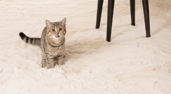 Dywan puszysty - Comfy plus kremowy Dywan puszysty - Comfy plus kremowy