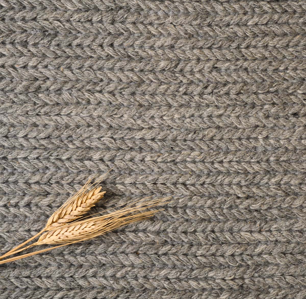 Dywan wełniany - Narvik szary - close up materiaal Dywan wełniany - Narvik szary - close up materiaal