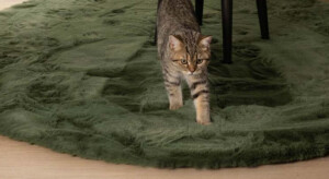 Round green rugs