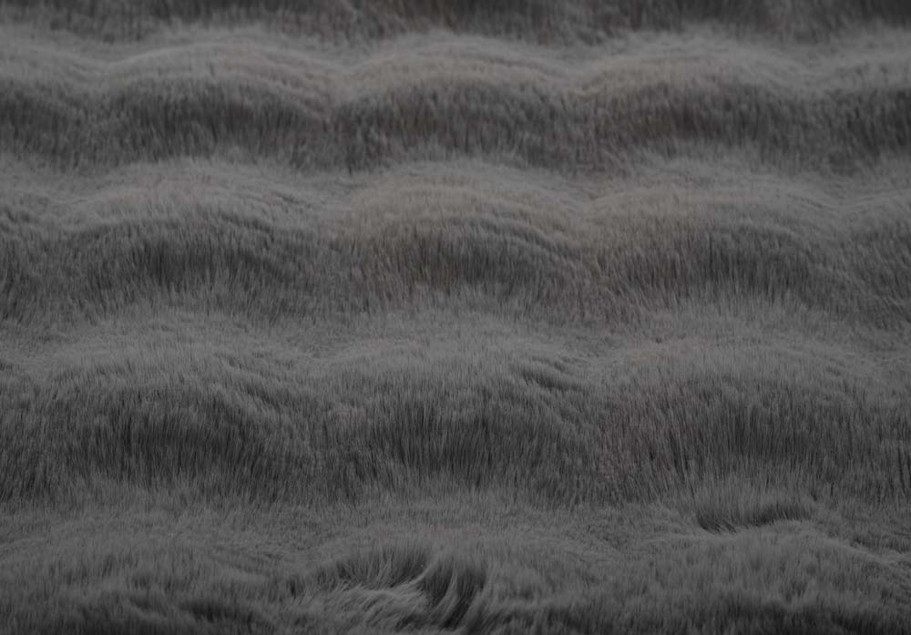 Chodnik puszysty - Cloud szary - close up Chodnik puszysty - Cloud szary - close up