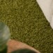 Chodnik z długim włosiem - Shaggy Trend zielony - close up, thumbnail
