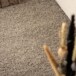 Chodnik z długim włosiem - Shaggy Trend jasnoszary - close up, thumbnail