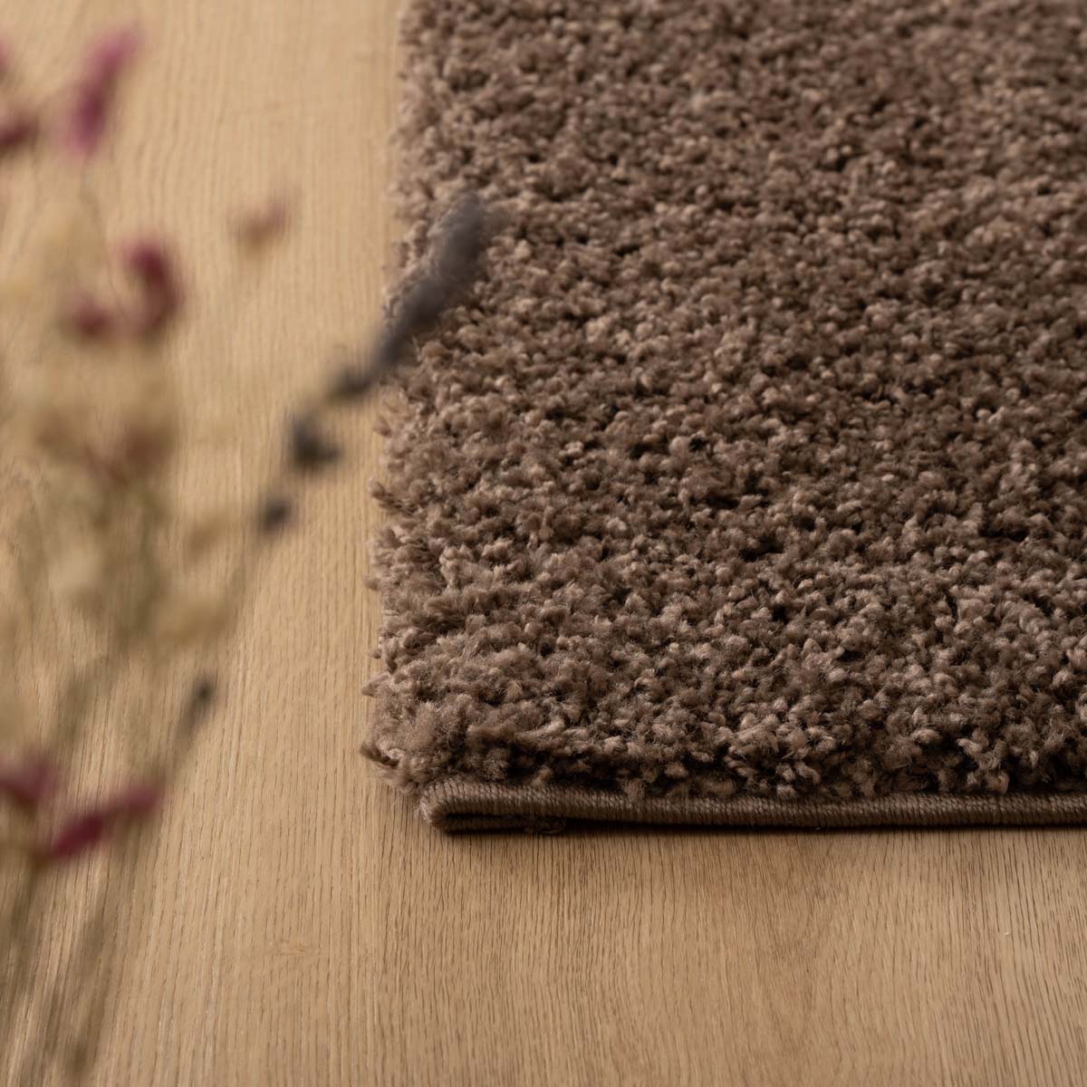Dywan z długim włosiem - Shaggy Trend taupe - close up Dywan z długim włosiem - Shaggy Trend taupe - close up