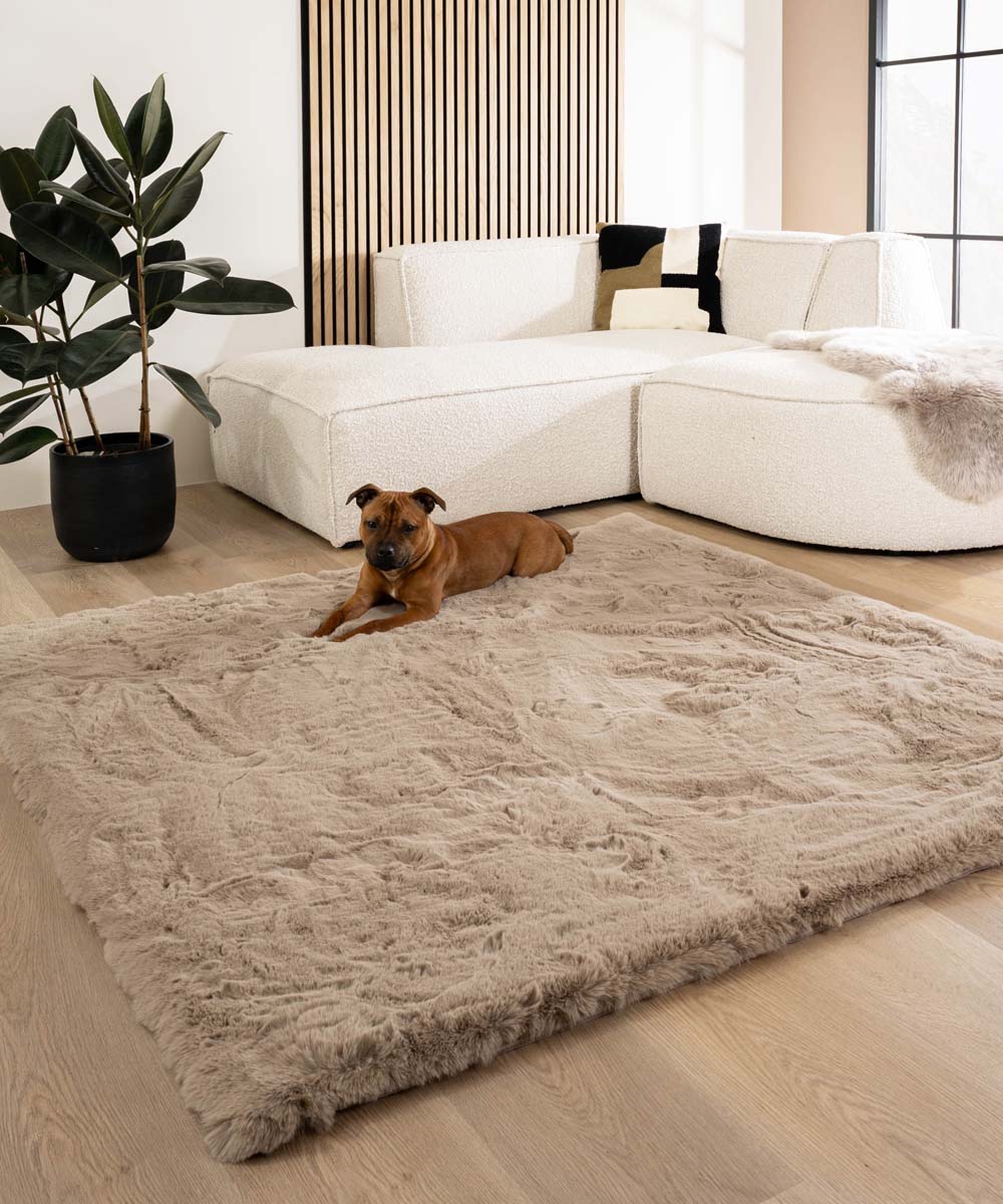 Dywan puszysty kwadratowy - Comfy Deluxe taupe - sfeer Dywan puszysty kwadratowy - Comfy Deluxe taupe - sfeer