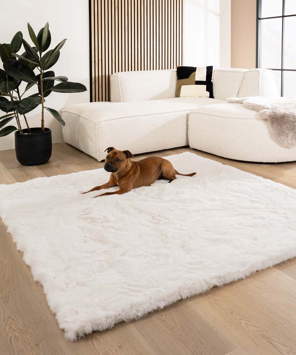 Dywan puszysty kwadratowy - Comfy Deluxe biały - overzicht Dywan puszysty kwadratowy - Comfy Deluxe biały - overzicht
